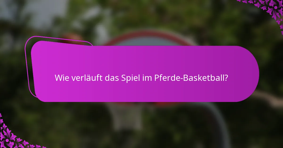 Wie verläuft das Spiel im Pferde-Basketball?